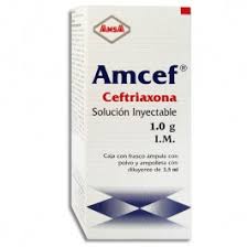 CEFTRIAXONA (AMCEF) SOL INJ 1 G/3.5 ML 1 Amp